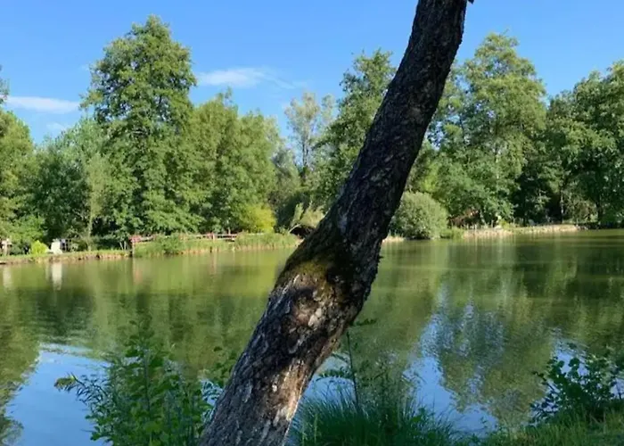 Insolite 营地 *